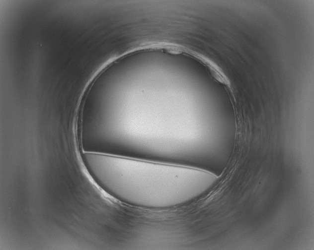 X0000084001007200702160751