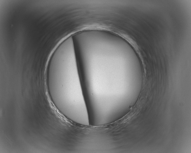 X0000084001008200702160751