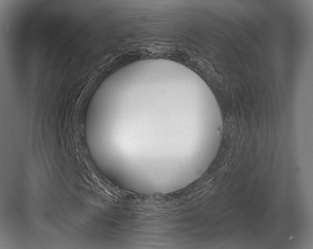 X0000084001009200702160751