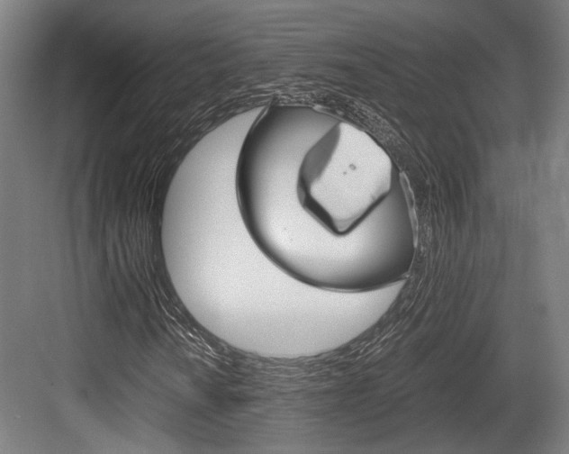 X0000084001010200702160751