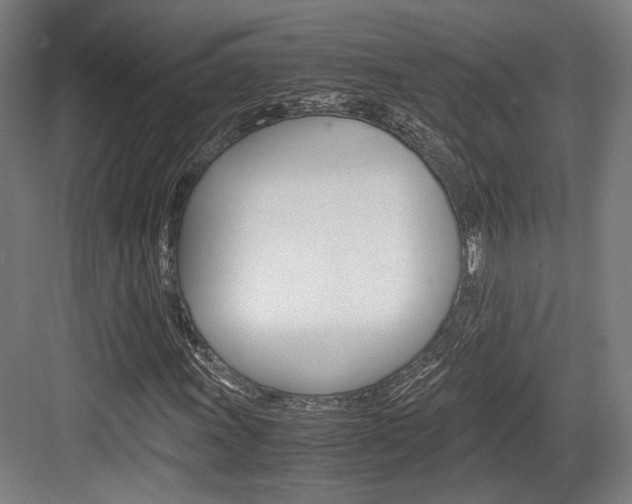 X0000084001011200702160751