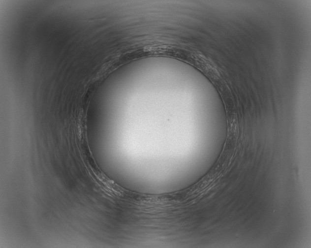 X0000084001012200702160751