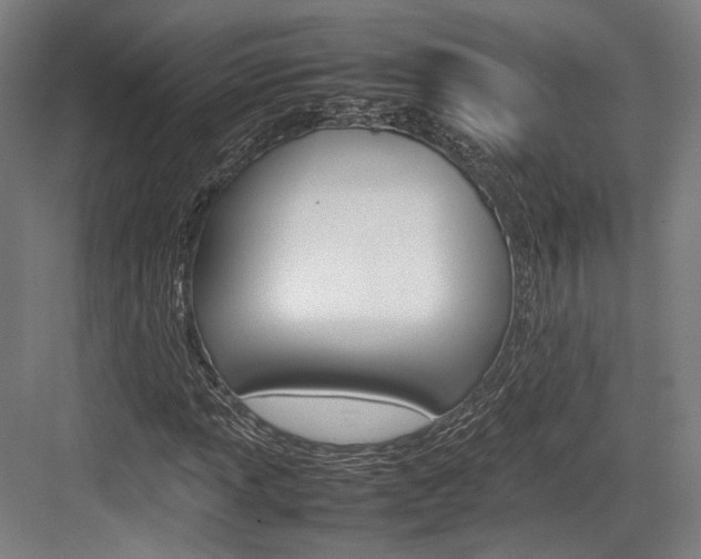 X0000084001013200702160751