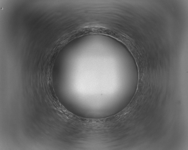 X0000084001014200702160751