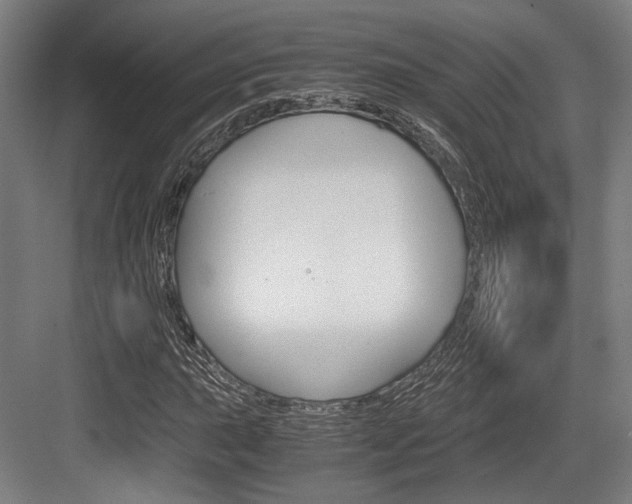 X0000084001015200702160751