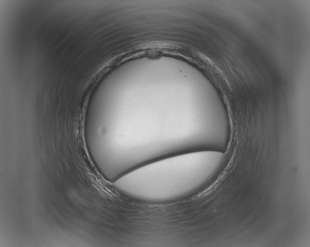 X0000084001017200702160751