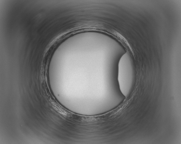 X0000084001019200702160751