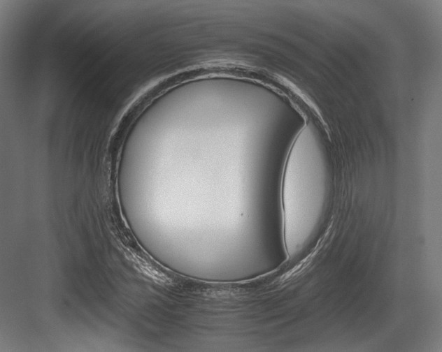 X0000084001021200702160751