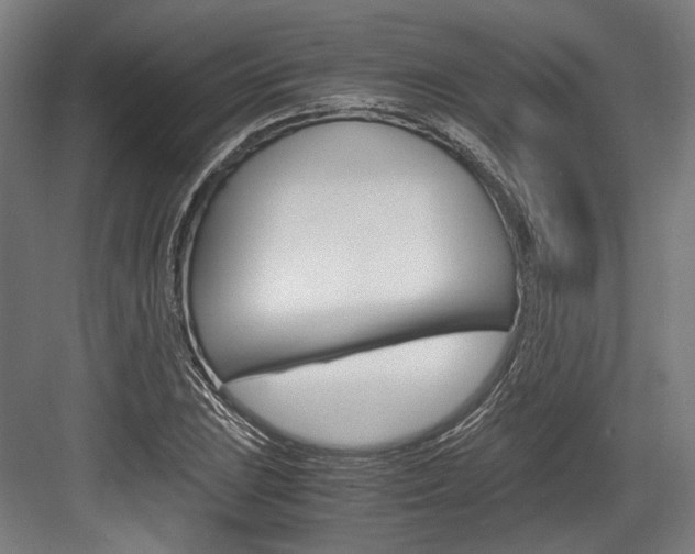 X0000084001023200702160751