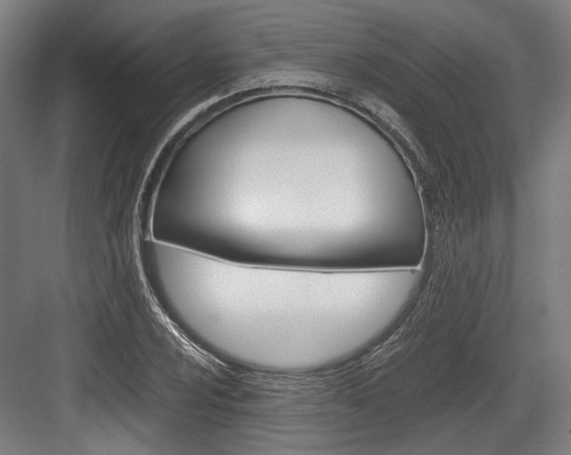 X0000084001024200702160751
