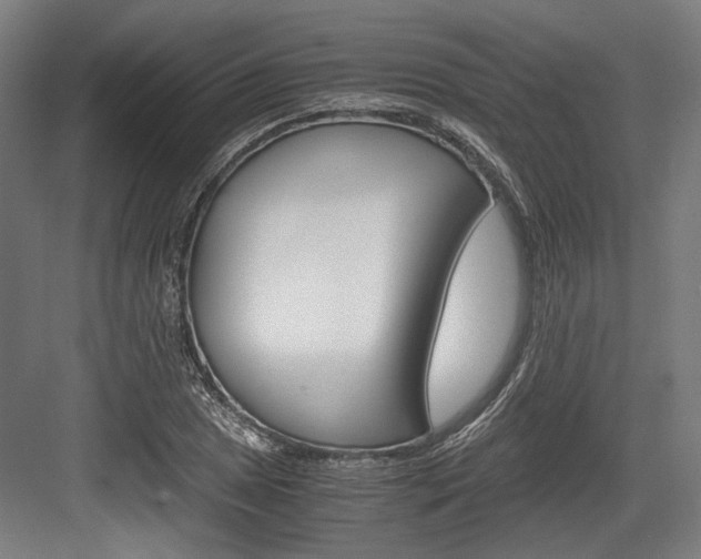 X0000084001025200702160751
