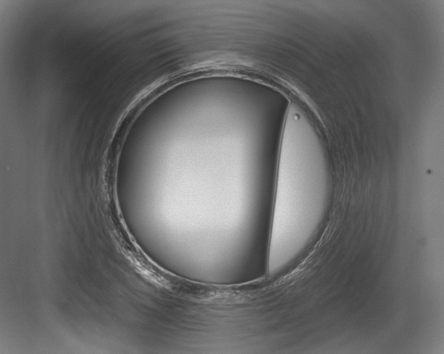 X0000084001026200702160751