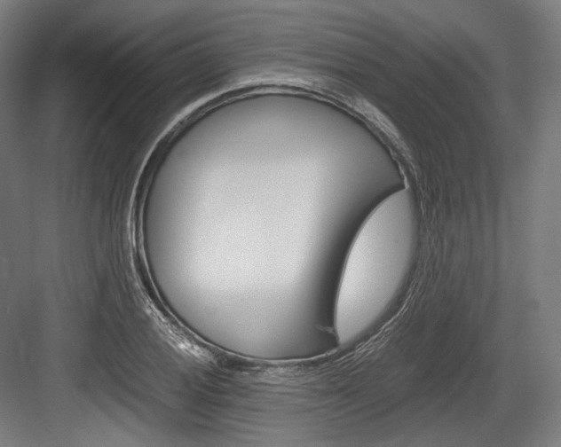 X0000084001028200702160751