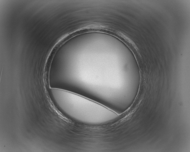 X0000084001029200702160751