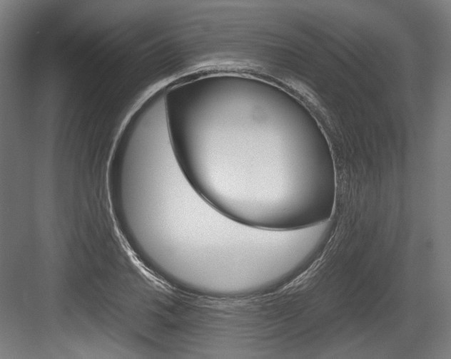 X0000084001030200702160751