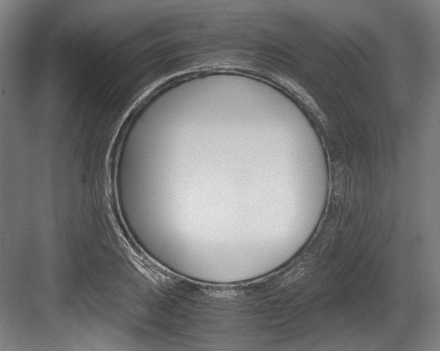X0000084001031200702160751