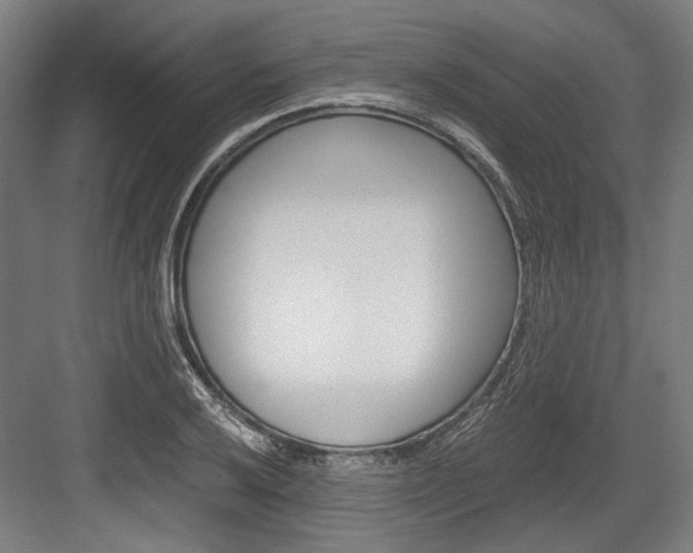 X0000084001032200702160751