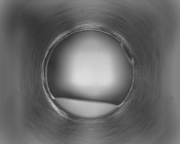 X0000084001034200702160751