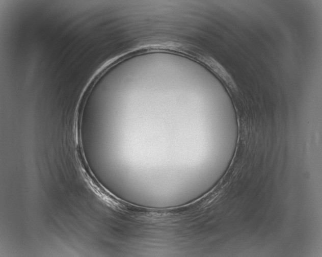 X0000084001036200702160751