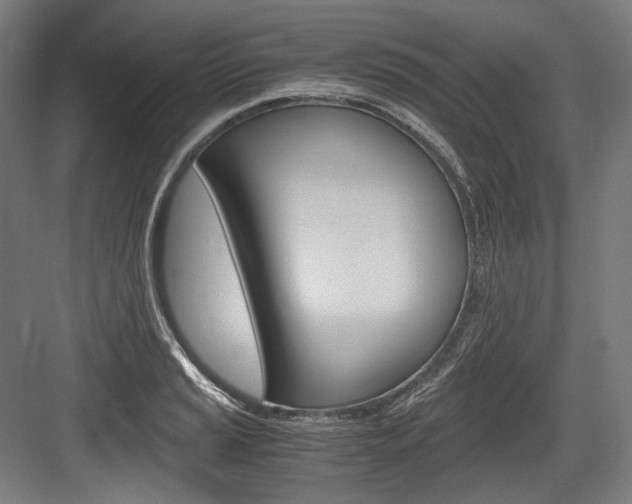 X0000084001037200702160751