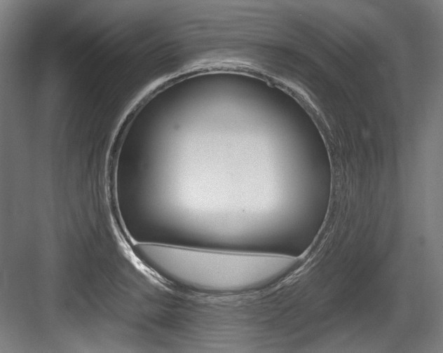 X0000084001038200702160751