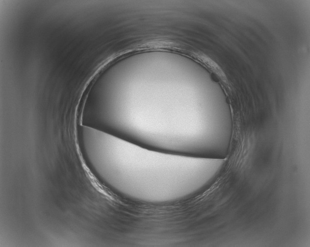 X0000084001039200702160751