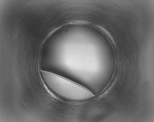 X0000084001041200702160751