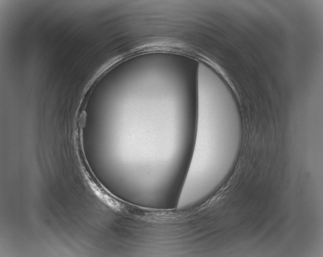 X0000084001042200702160751