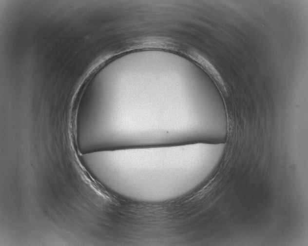 X0000084001043200702160751