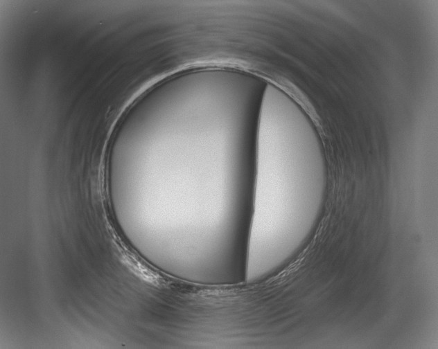 X0000084001044200702160751
