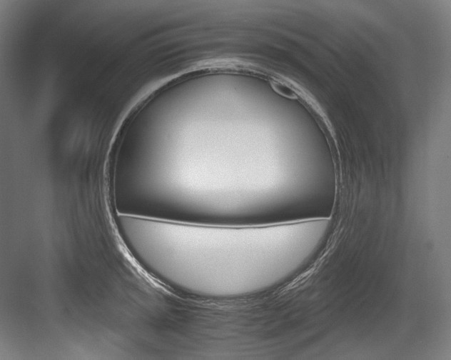X0000084001045200702160751