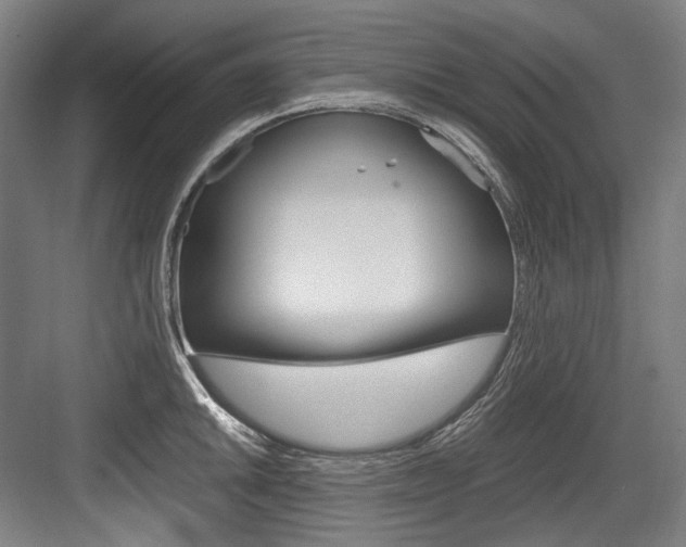 X0000084001046200702160751