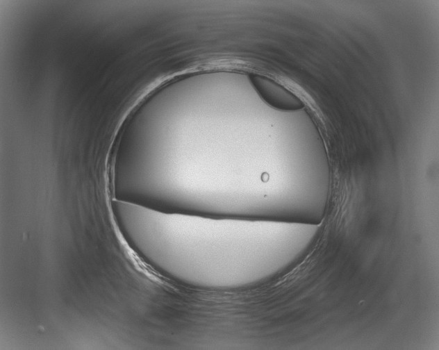 X0000084001047200702160751