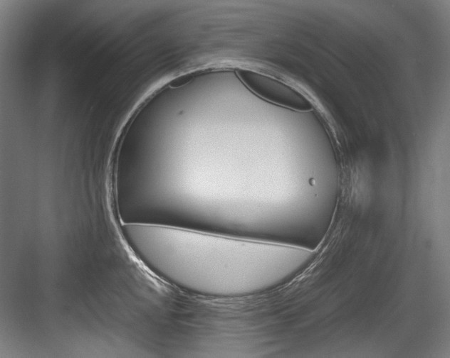 X0000084001048200702160751