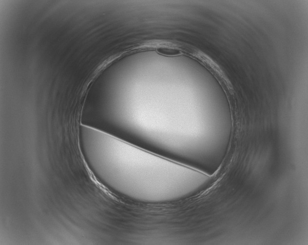 X0000084001049200702160751