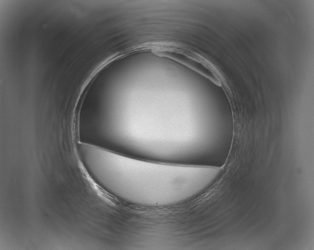 X0000084001050200702160751