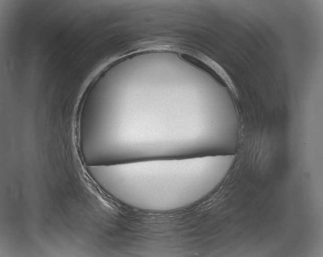 X0000084001051200702160751