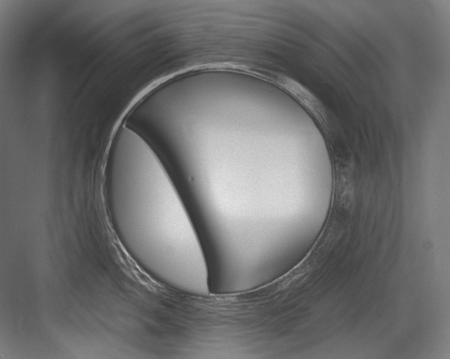X0000084001052200702160751