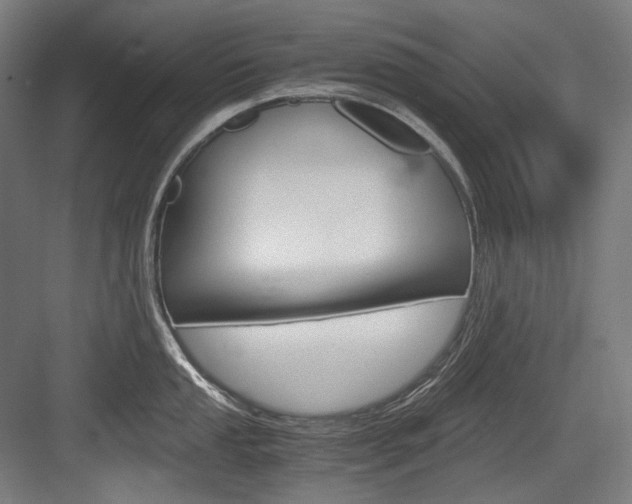 X0000084001053200702160751