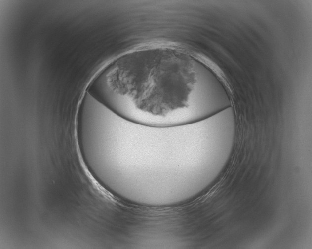 X0000084001055200702160751