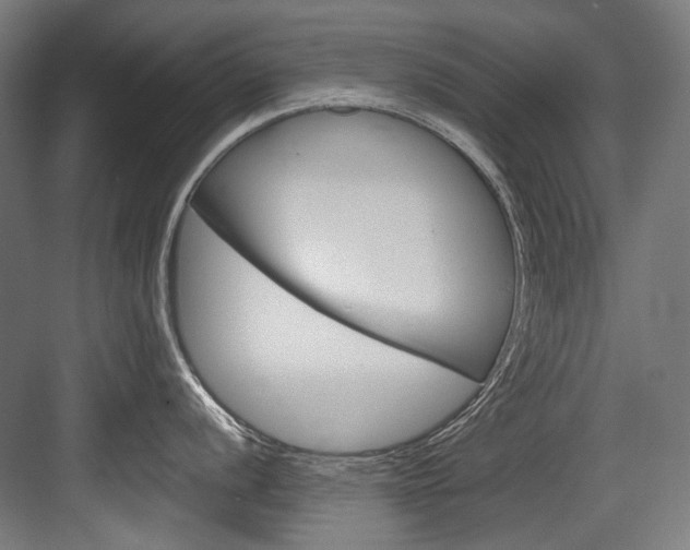 X0000084001056200702160751