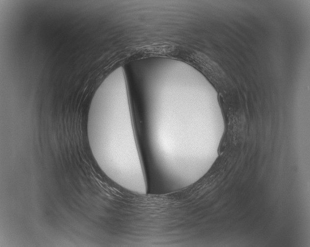 X0000084001058200702160751