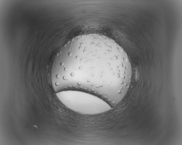 X0000084001059200702160751