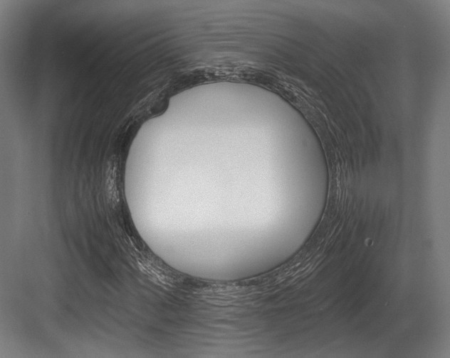 X0000084001060200702160751