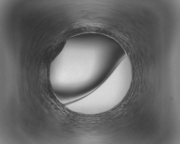 X0000084001061200702160751