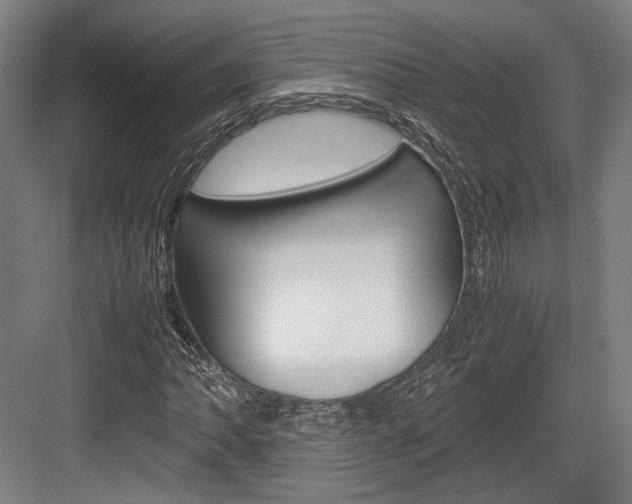 X0000084001062200702160751