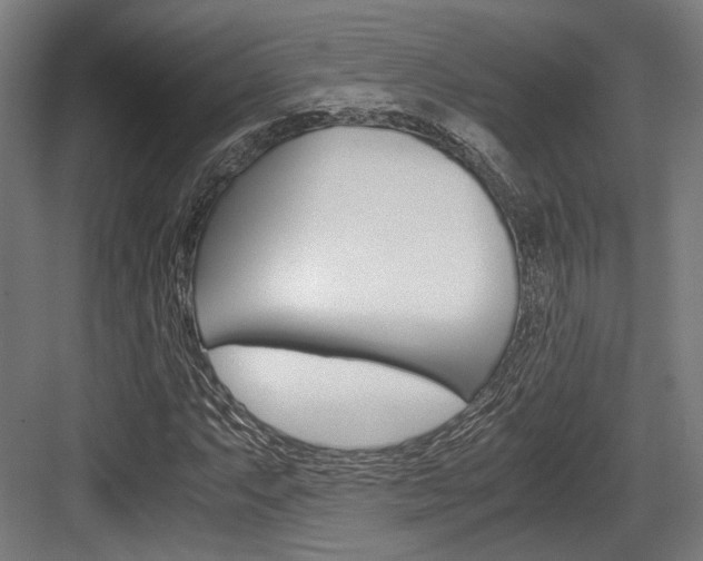 X0000084001063200702160751