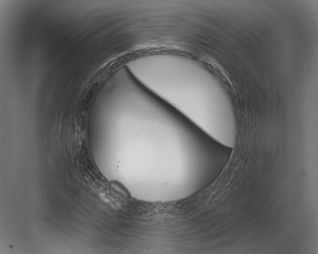 X0000084001064200702160750