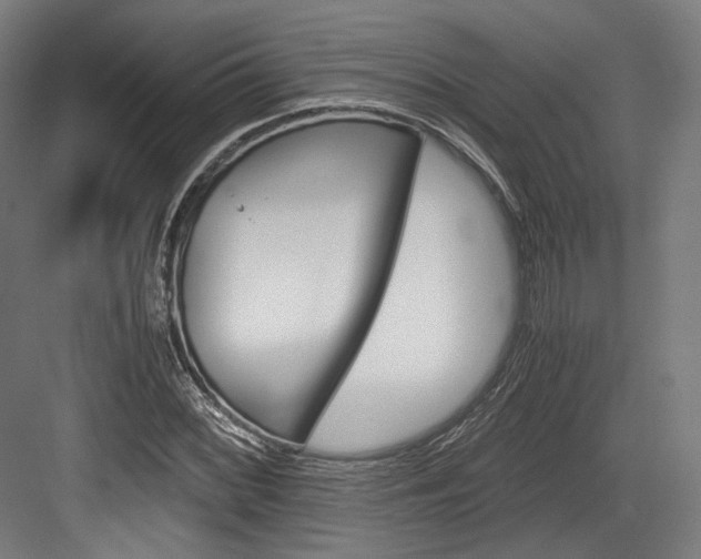 X0000084001068200702160750