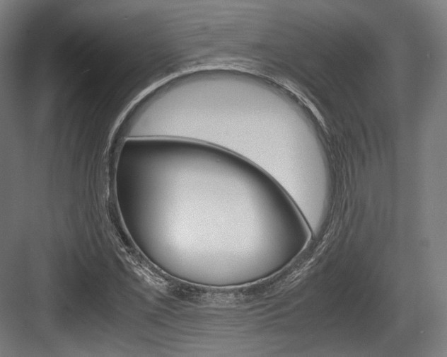 X0000084001069200702160750